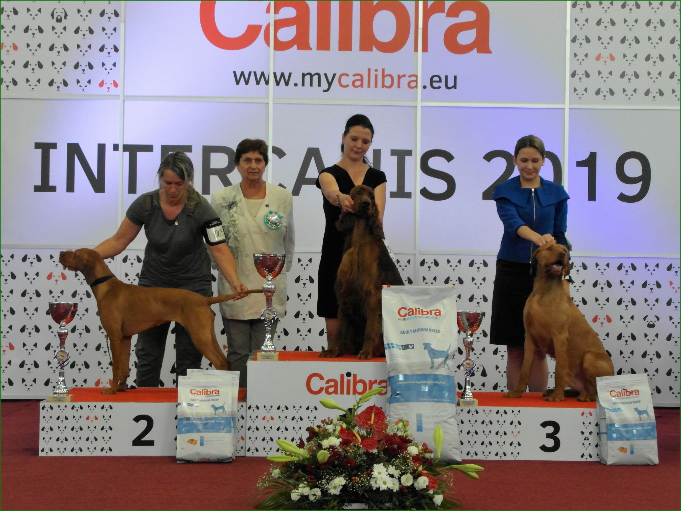 Internacanis 2019 BIG 2 5