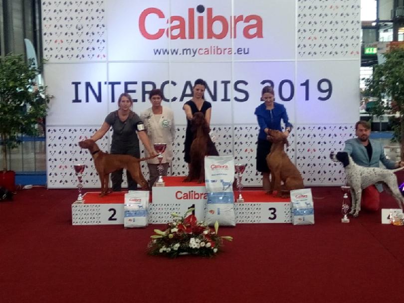 Internacanis 2019 BIG 2   4