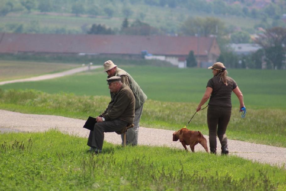 stažený soubor (9)